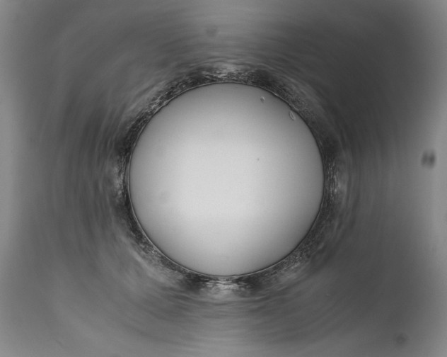 X0000110930607200907021525