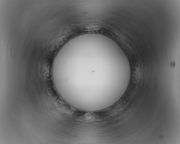 X0000110930608200907021525