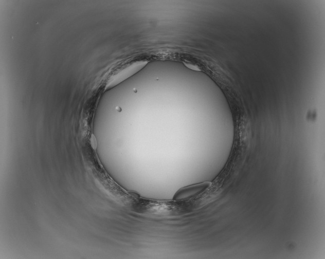 X0000110930611200907021525