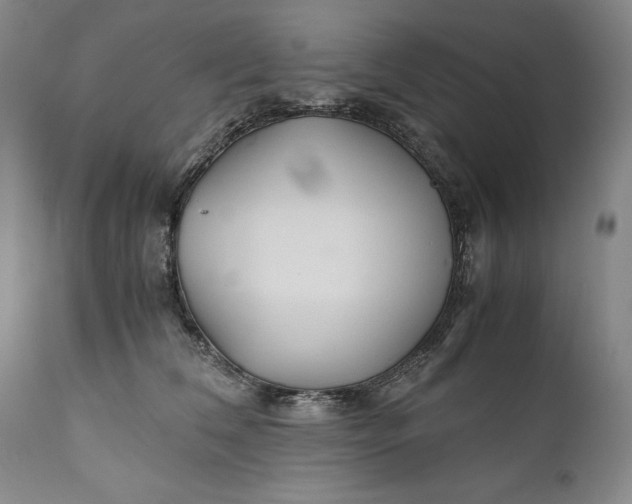 X0000110930612200907021525