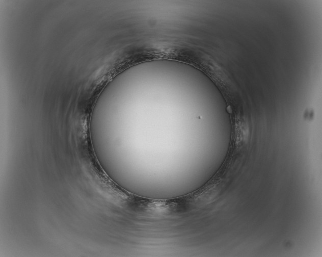 X0000110930613200907021525