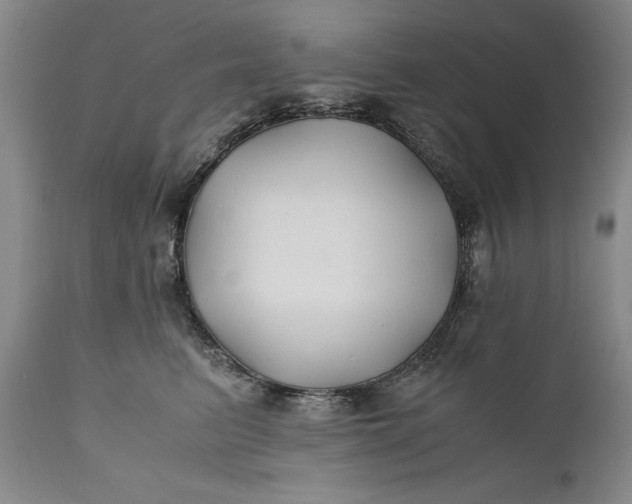 X0000110930615200907021525