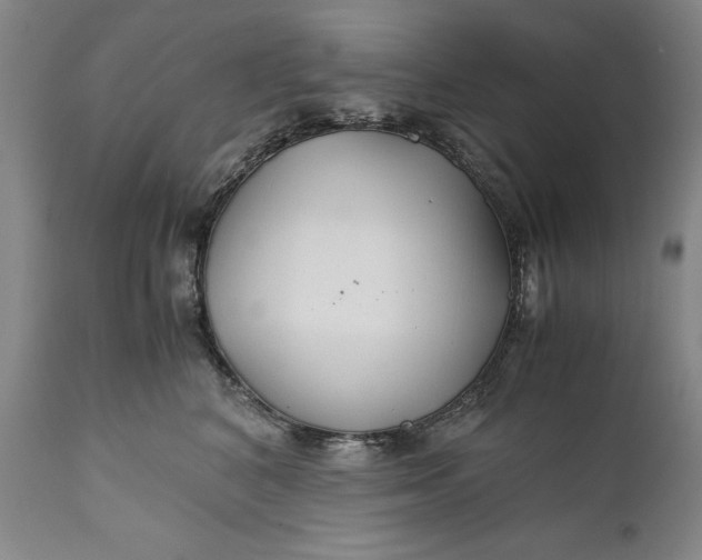X0000110930616200907021525