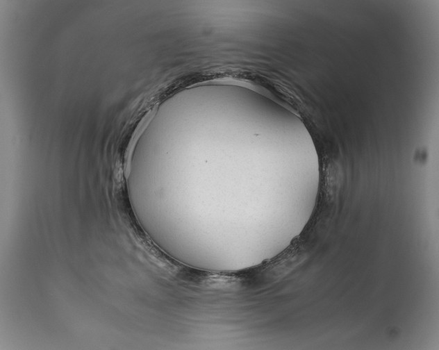 X0000110930617200907021525