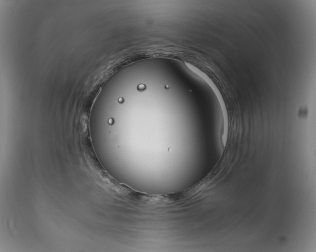 X0000110930621200907021525