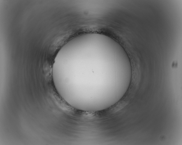 X0000110930624200907021525