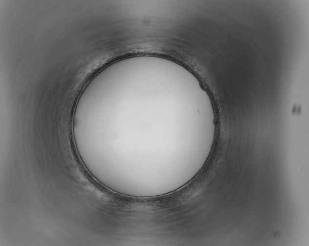 X0000110930625200907021524