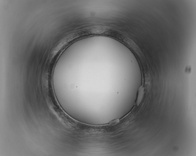 X0000110930626200907021524