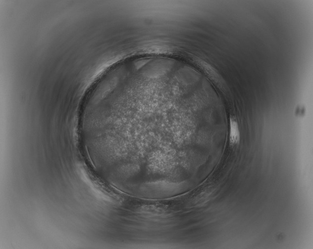 X0000110930627200907021524