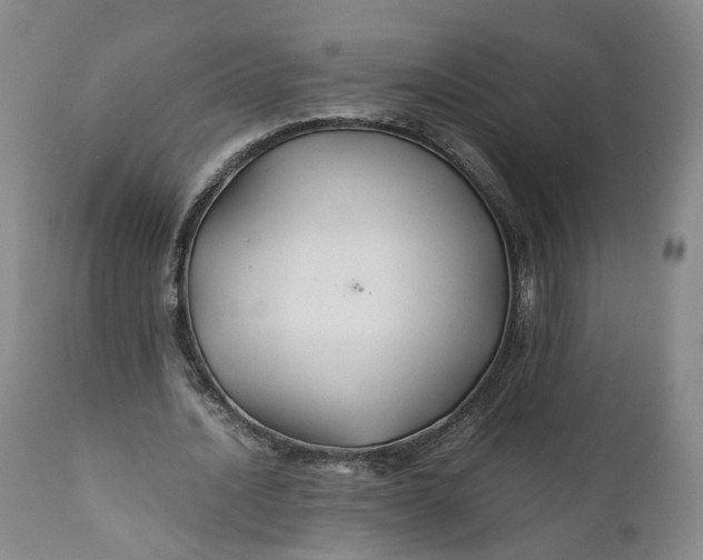 X0000110930628200907021524
