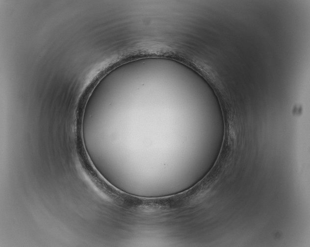 X0000110930630200907021524