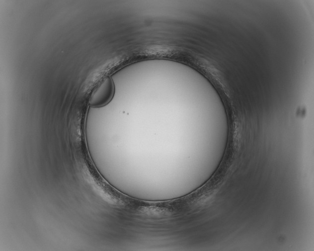 X0000110930633200907021524
