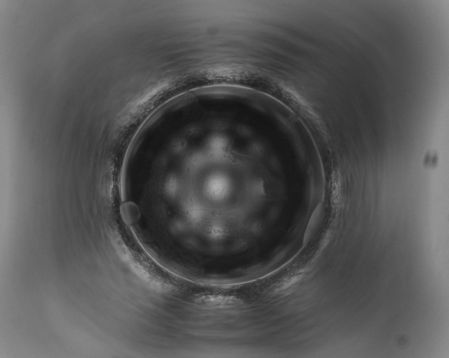X0000110930637200907021524
