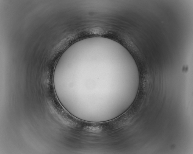 X0000110930639200907021524