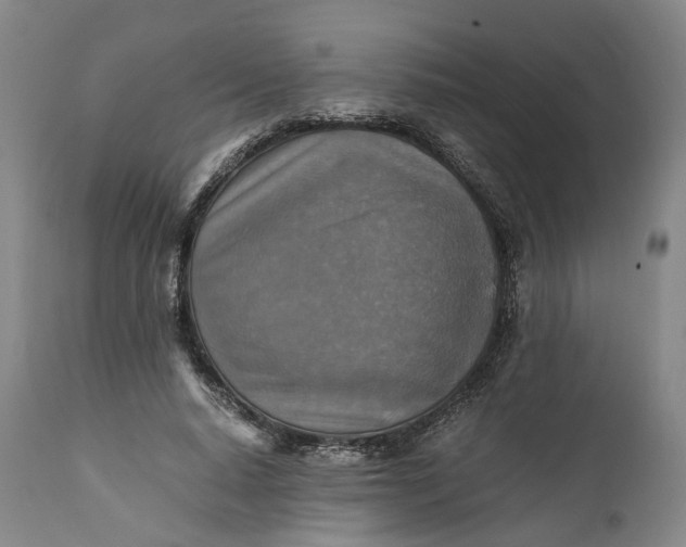 X0000110930640200907021524