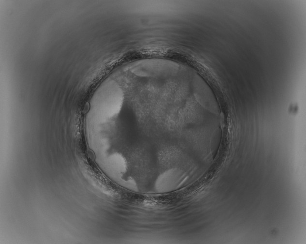 X0000110930641200907021524