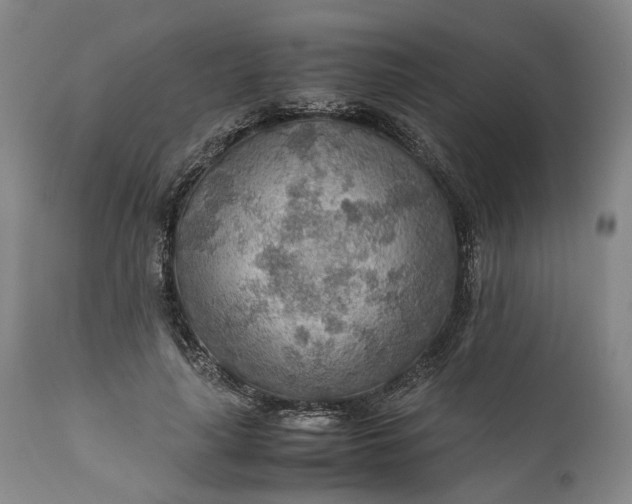 X0000110930643200907021524