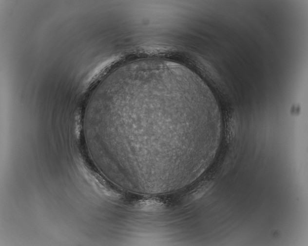X0000110930644200907021524