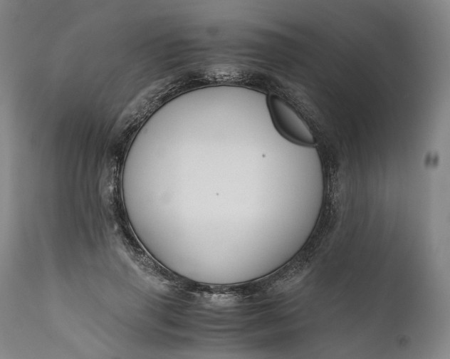 X0000110930645200907021524
