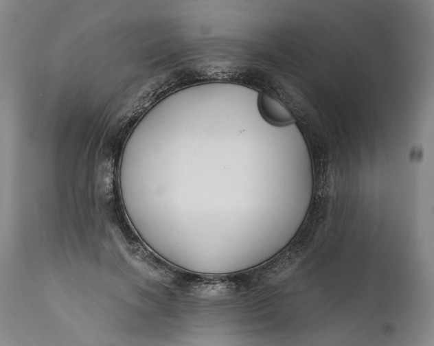 X0000110930646200907021524