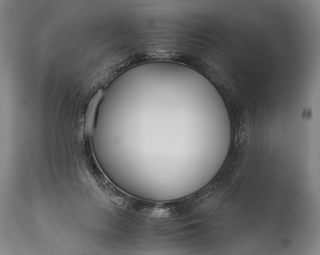 X0000110930647200907021524