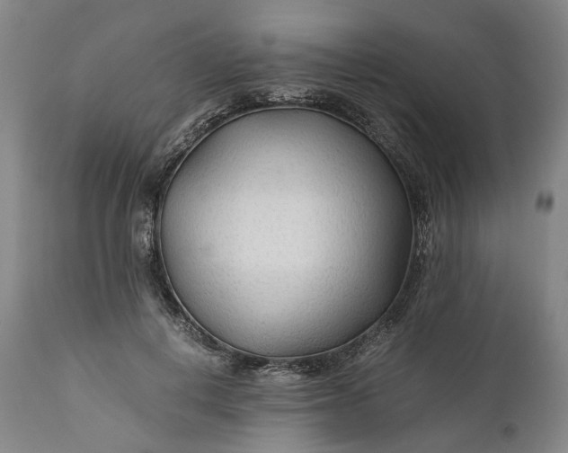 X0000110930648200907021524