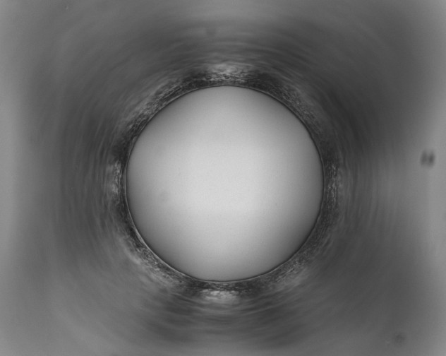 X0000110930649200907021524