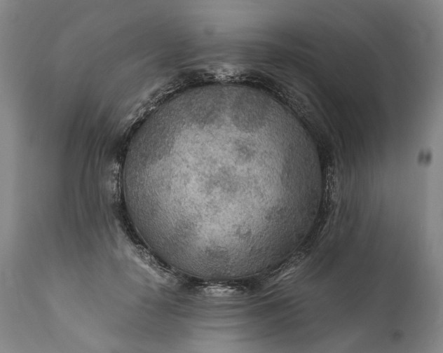 X0000110930650200907021524