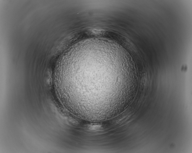 X0000110930651200907021524