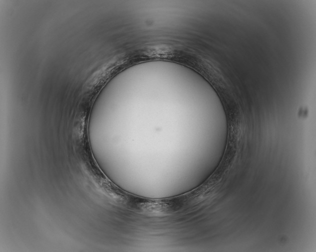 X0000110930652200907021524
