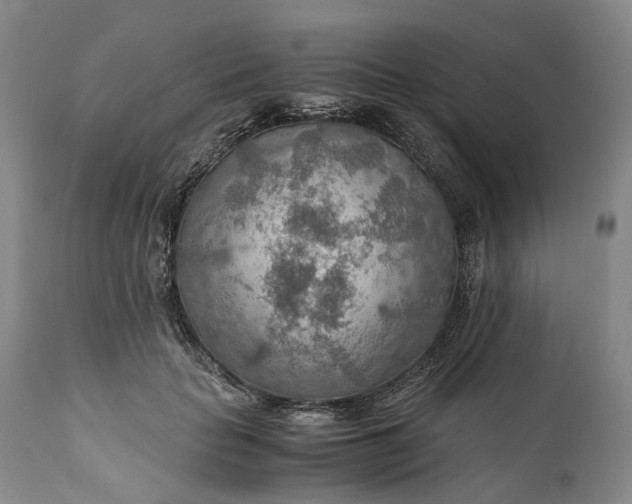 X0000110930653200907021524