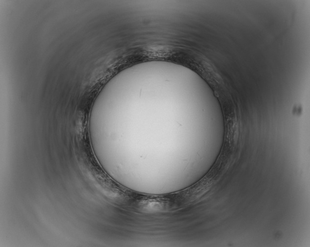 X0000110930655200907021524