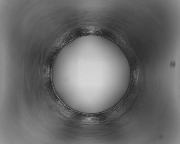 X0000110930657200907021524