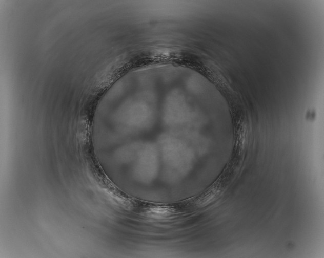 X0000110930659200907021524