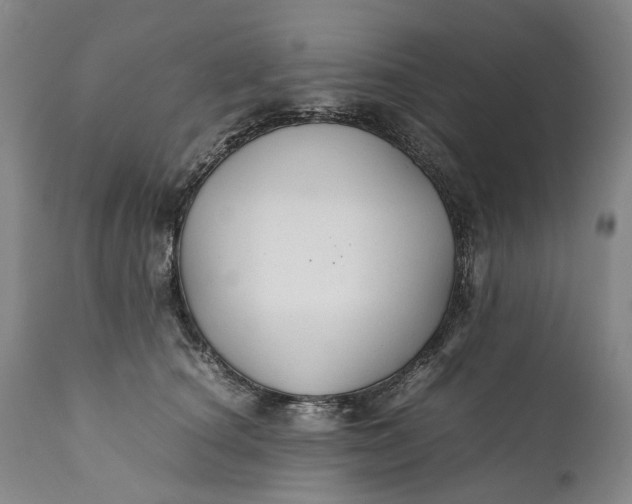 X0000110930660200907021524