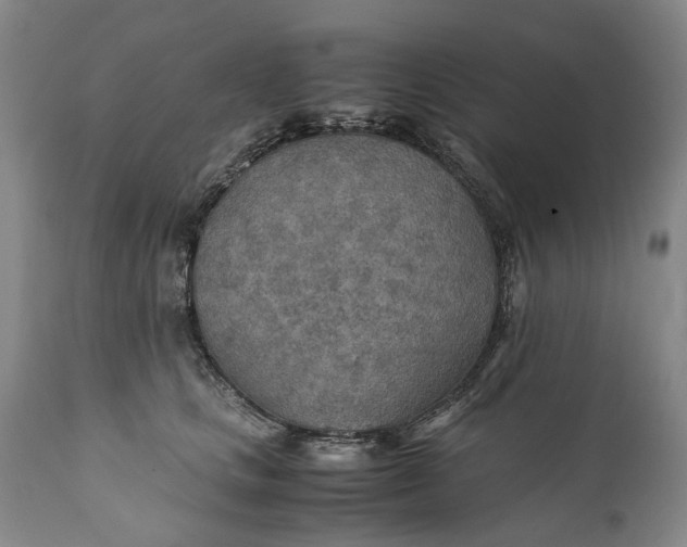X0000110930661200907021524
