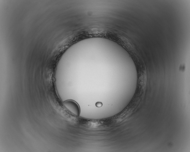 X0000110930662200907021524