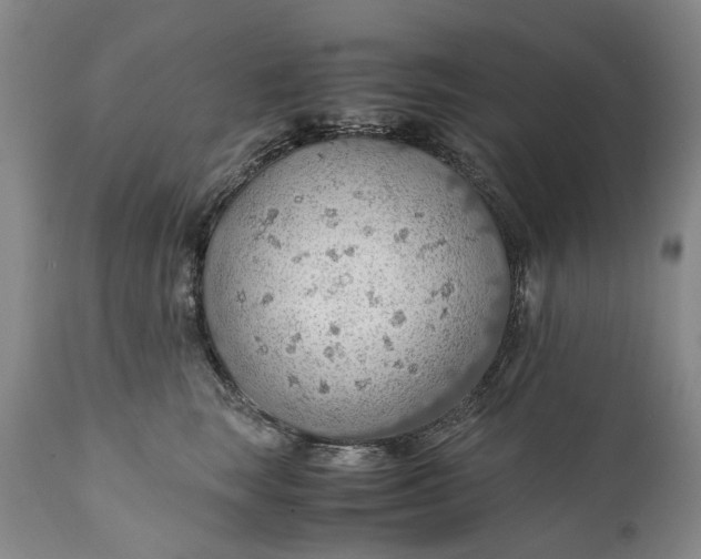 X0000110930663200907021524