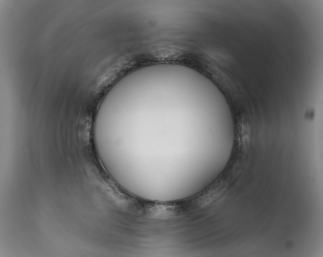 X0000110930664200907021524