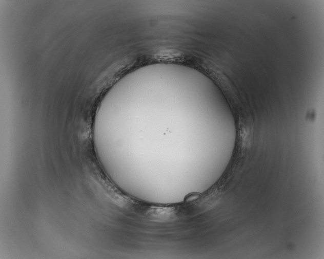 X0000110930665200907021524