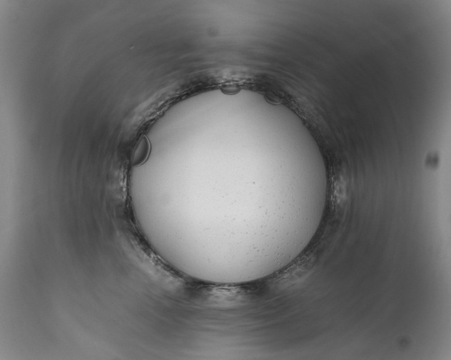 X0000110930666200907021524