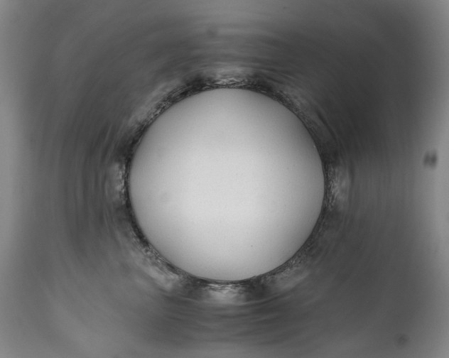 X0000110930667200907021524