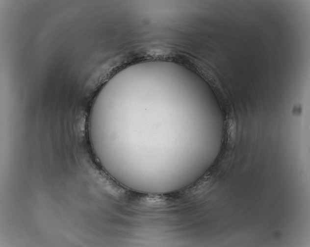 X0000110930668200907021524