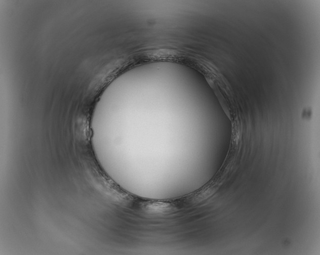 X0000110930669200907021524