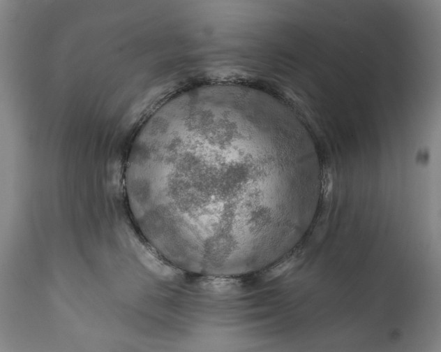 X0000110930670200907021524