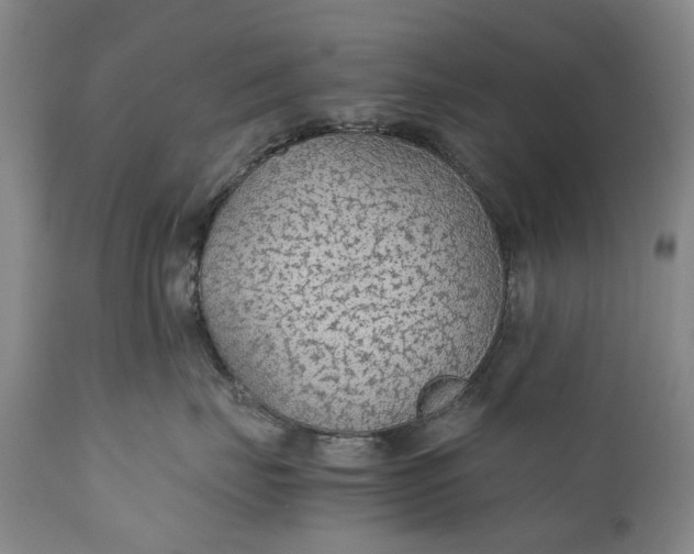 X0000110930671200907021524