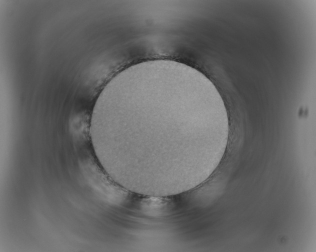 X0000110930672200907021524