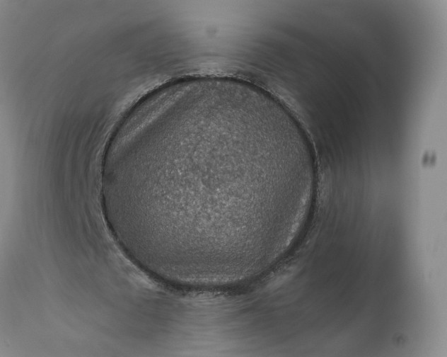 X0000110930673200907021524