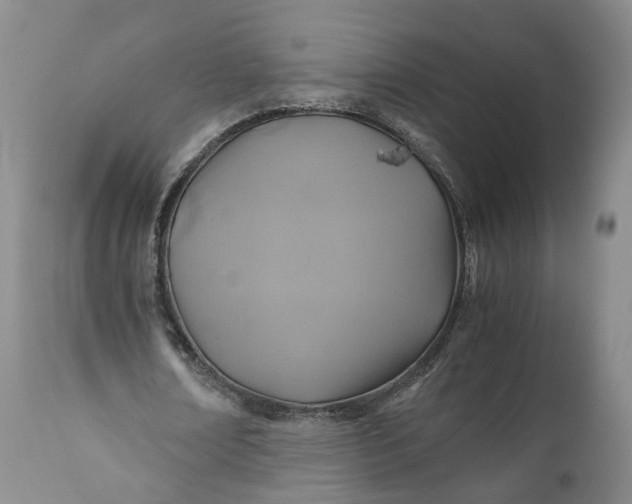 X0000110930674200907021524