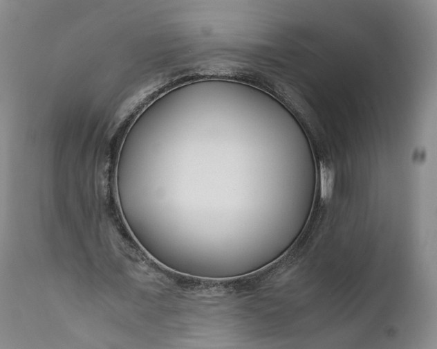 X0000110930675200907021524
